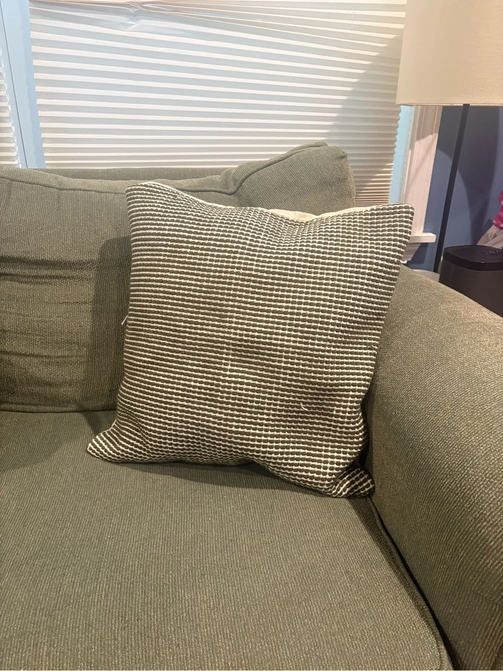 West Elm Textured Woven Accent Pillow in Sage and Cream